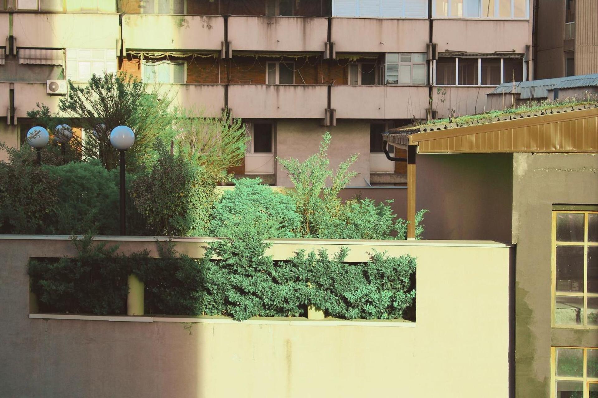 סקופיה Sunny Center Apartment מראה חיצוני תמונה